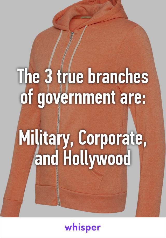 The 3 true branches of government are:

Military, Corporate, and Hollywood