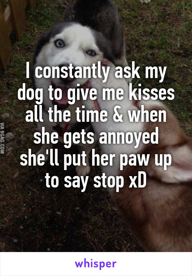 I constantly ask my dog to give me kisses all the time & when she gets annoyed she'll put her paw up to say stop xD
