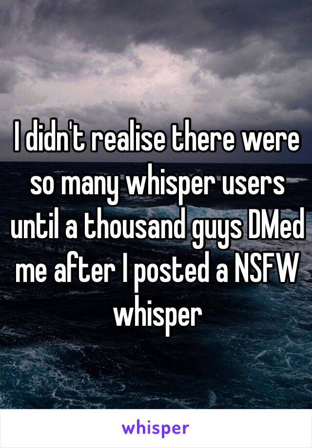 I didn't realise there were so many whisper users until a thousand guys DMed me after I posted a NSFW whisper