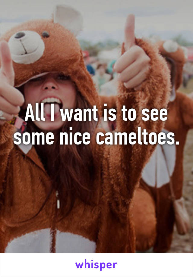 All I want is to see some nice cameltoes. 