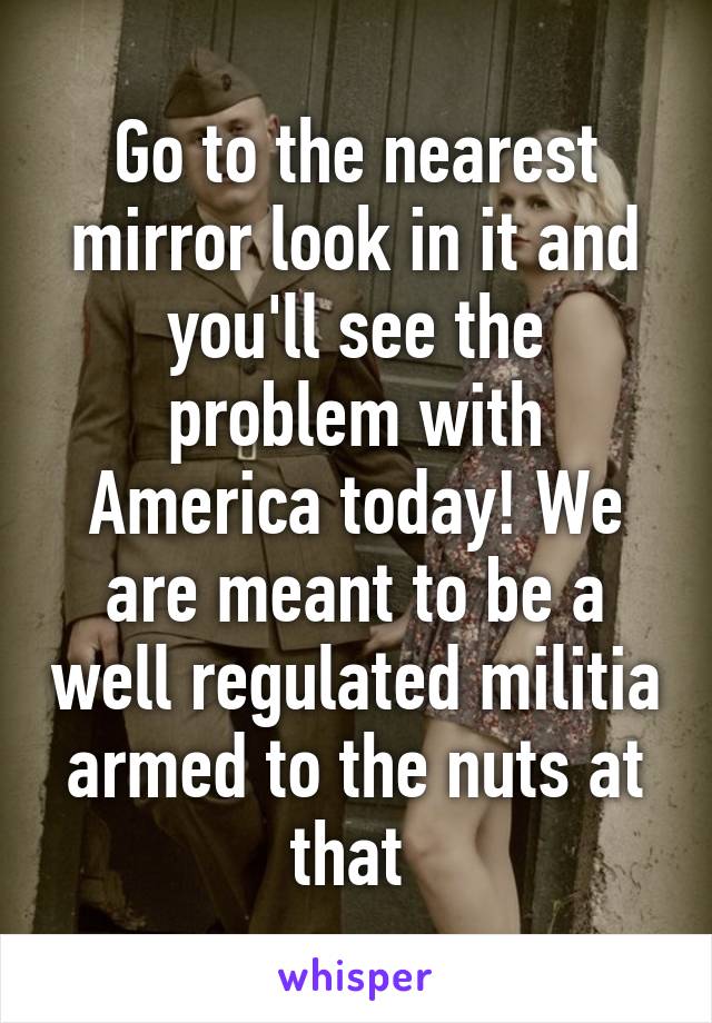 Go to the nearest mirror look in it and you'll see the problem with America today! We are meant to be a well regulated militia armed to the nuts at that 