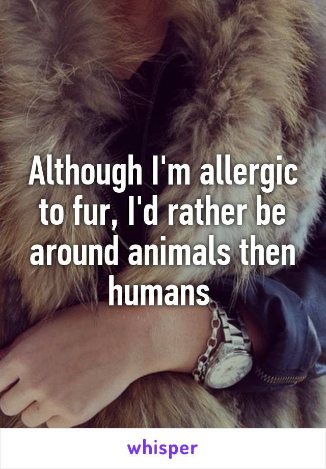 Although I'm allergic to fur, I'd rather be around animals then humans 