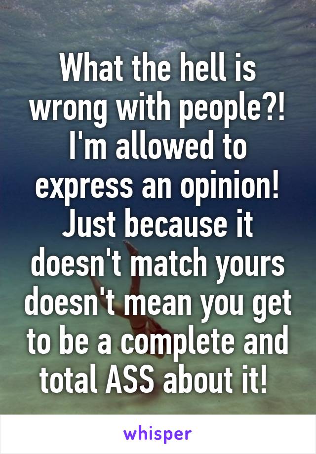 What the hell is wrong with people?! I'm allowed to express an opinion! Just because it doesn't match yours doesn't mean you get to be a complete and total ASS about it! 