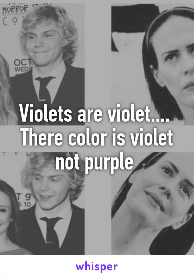 Violets are violet.... 
There color is violet not purple 