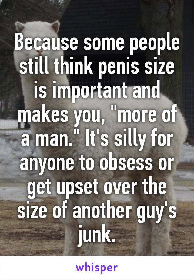 Because some people still think penis size is important and makes you, "more of a man." It's silly for anyone to obsess or get upset over the size of another guy's junk.