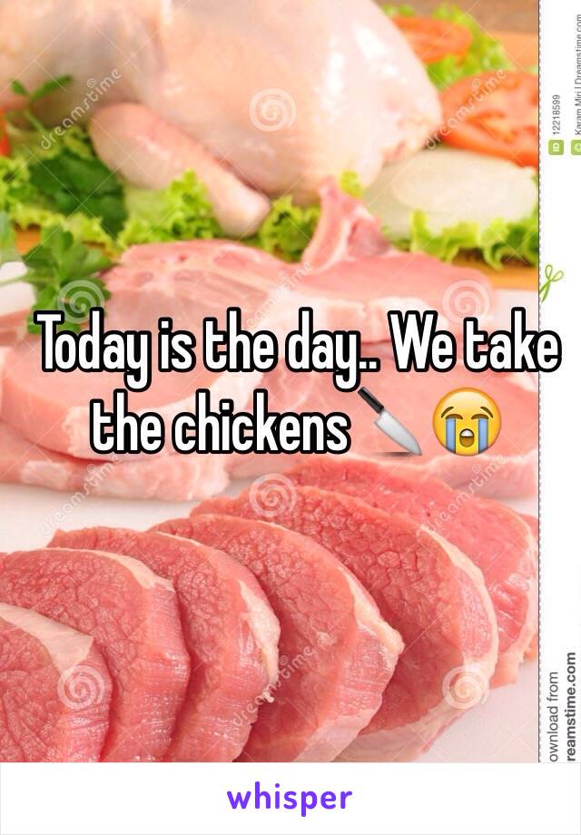 Today is the day.. We take the chickens🔪😭