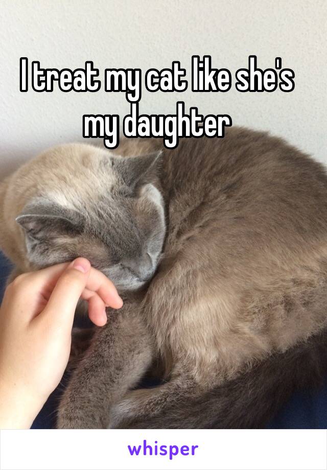 I treat my cat like she's my daughter 