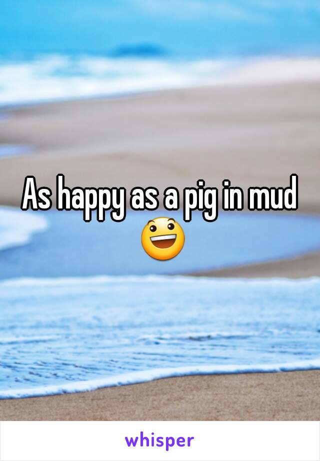 As happy as a pig in mud 😃