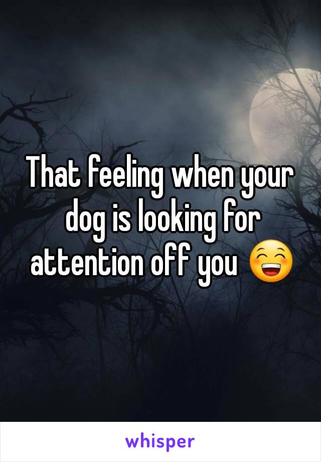 That feeling when your dog is looking for attention off you 😁