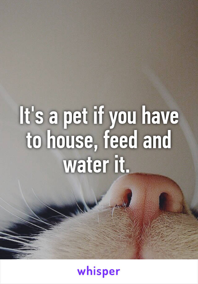 It's a pet if you have to house, feed and water it. 