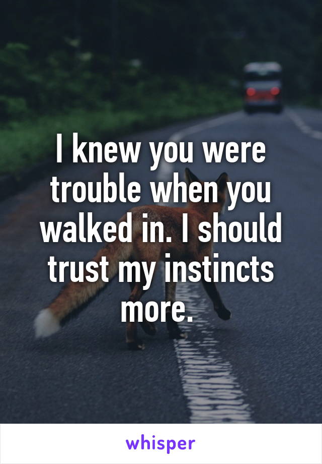 I knew you were trouble when you walked in. I should trust my instincts more. 