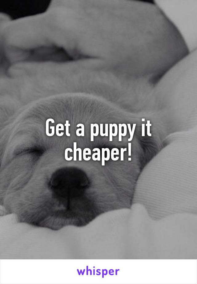 Get a puppy it cheaper!