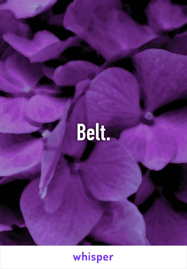 Belt.