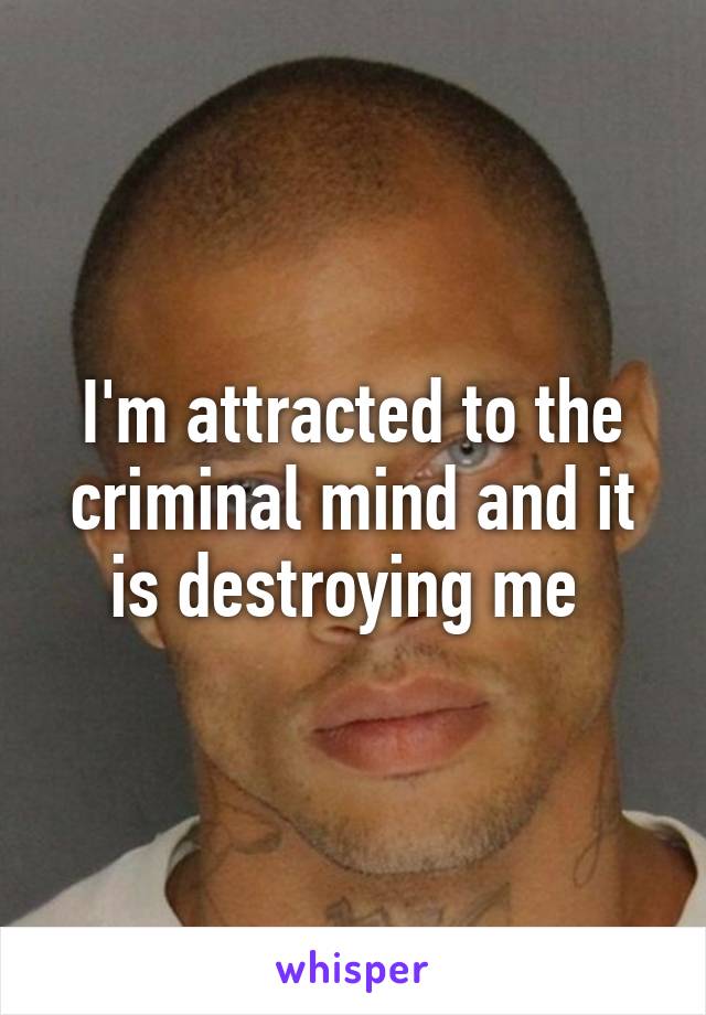 I'm attracted to the criminal mind and it is destroying me 