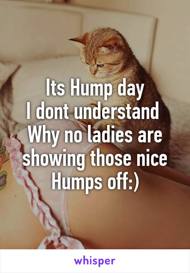 Its Hump day
I dont understand 
Why no ladies are showing those nice Humps off:)