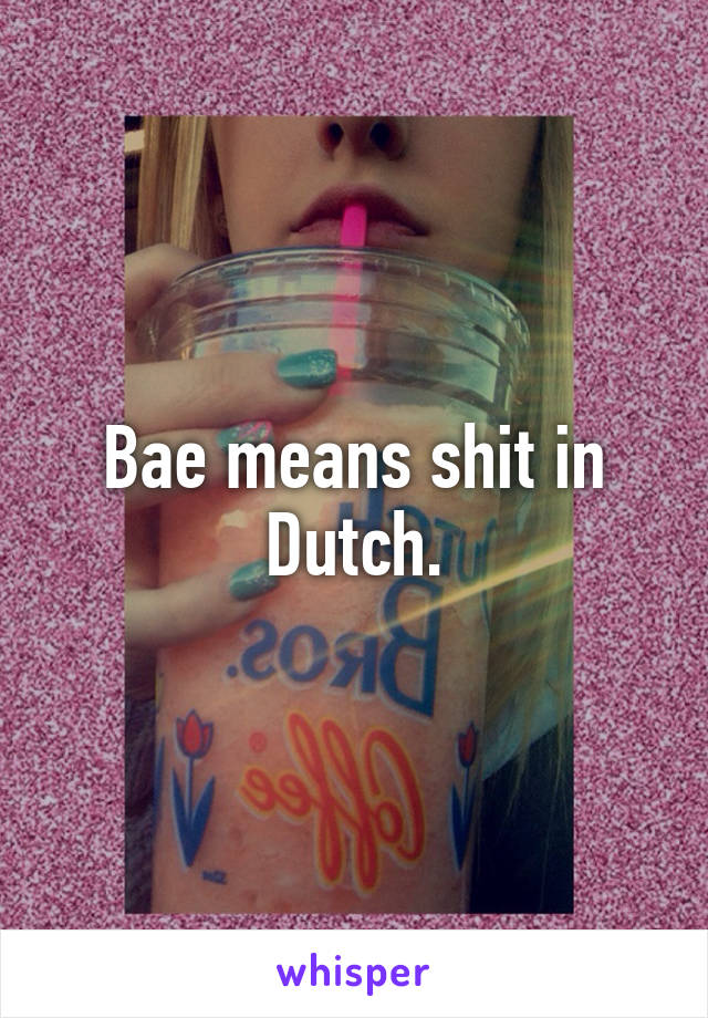 Bae means shit in Dutch.