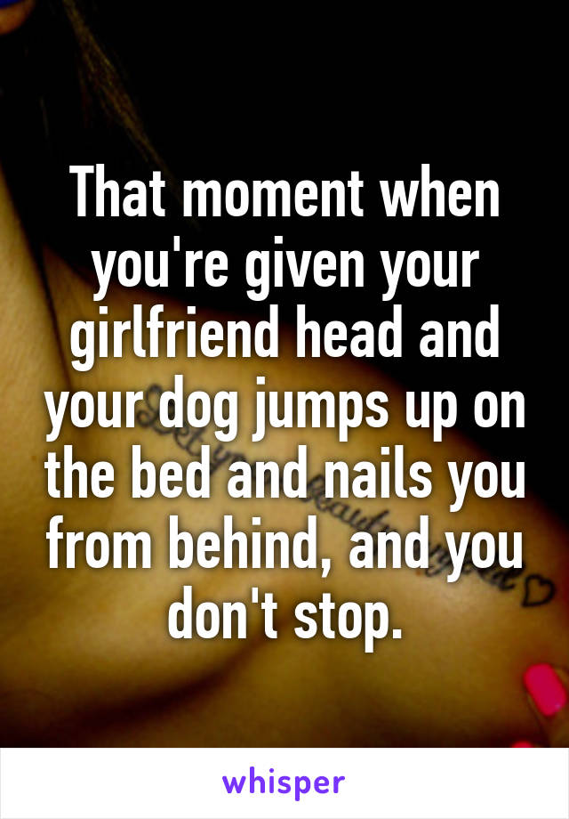 That moment when you're given your girlfriend head and your dog jumps up on the bed and nails you from behind, and you don't stop.