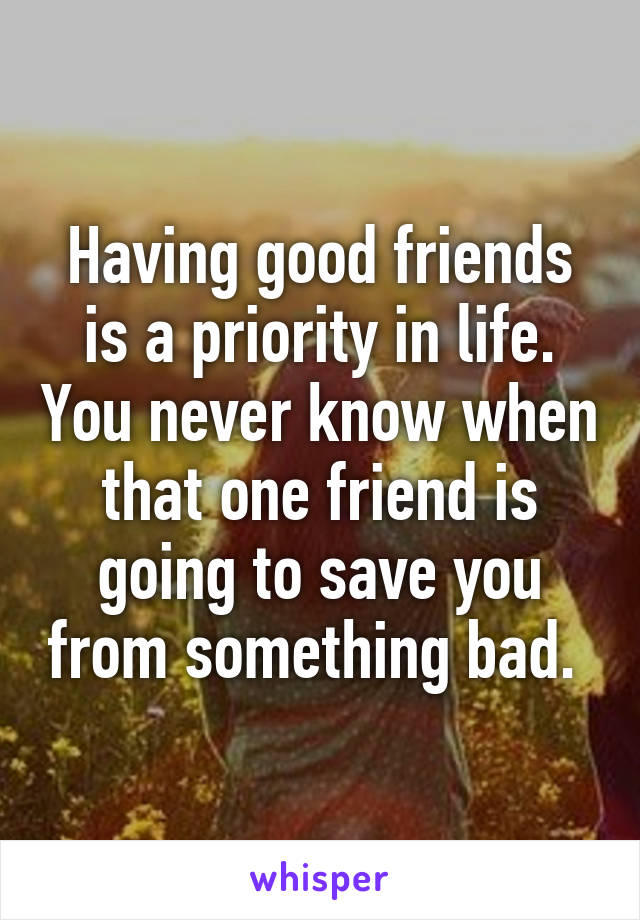 Having good friends is a priority in life. You never know when that one friend is going to save you from something bad. 