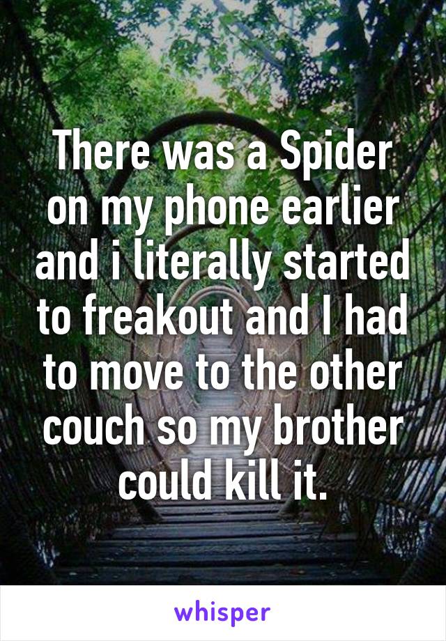 There was a Spider on my phone earlier and i literally started to freakout and I had to move to the other couch so my brother could kill it.