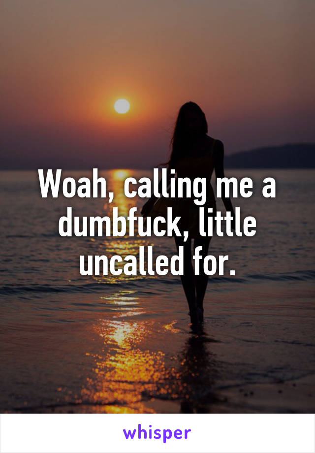 Woah, calling me a dumbfuck, little uncalled for.