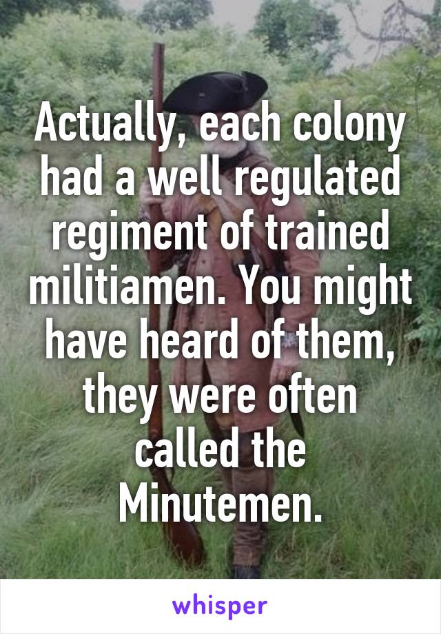 Actually, each colony had a well regulated regiment of trained militiamen. You might have heard of them, they were often called the Minutemen.