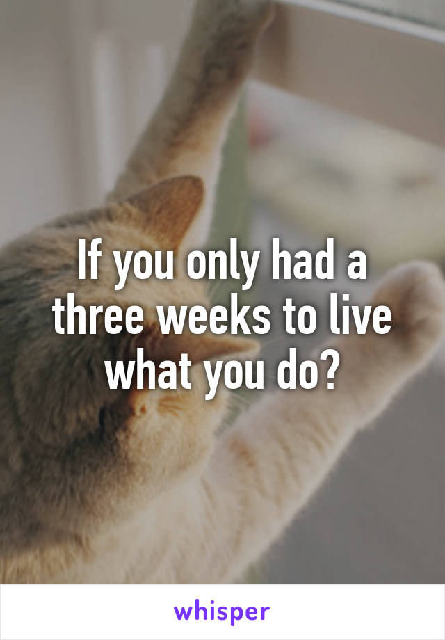 If you only had a three weeks to live what you do?