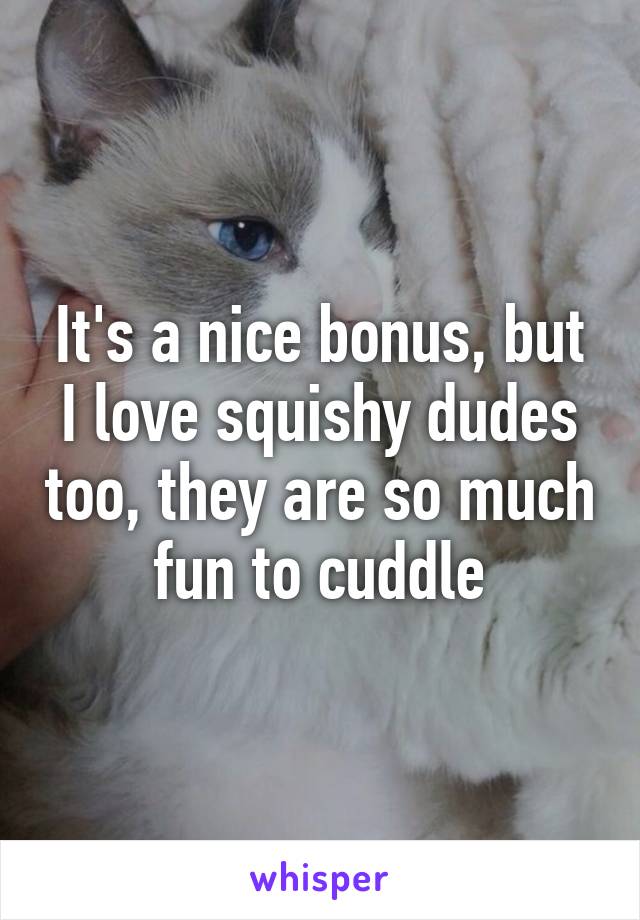 It's a nice bonus, but I love squishy dudes too, they are so much fun to cuddle