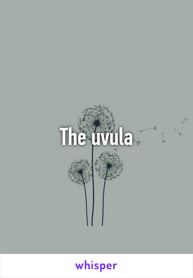 The uvula