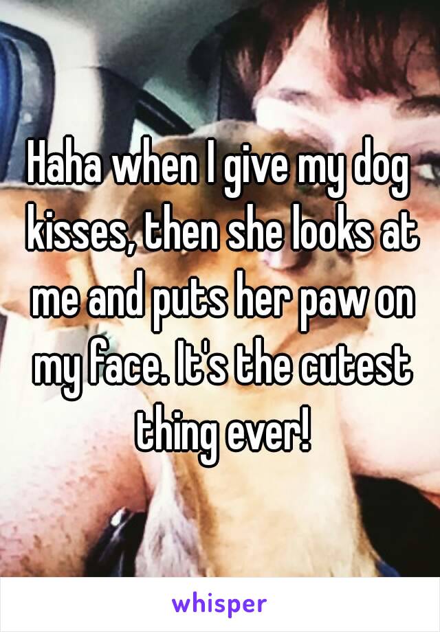 Haha when I give my dog kisses, then she looks at me and puts her paw on my face. It's the cutest thing ever!
