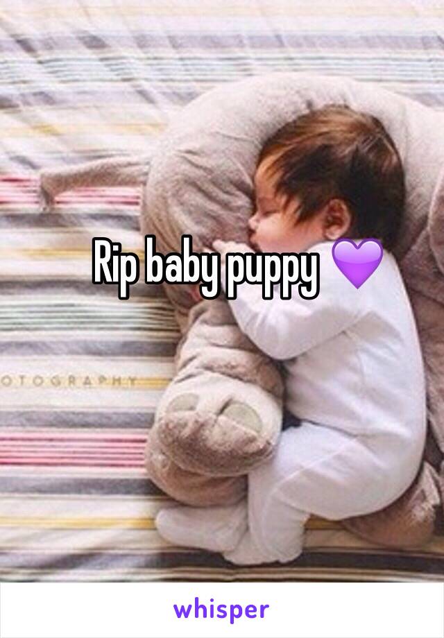 Rip baby puppy 💜
