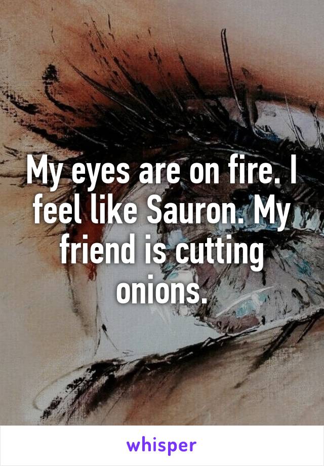 My eyes are on fire. I feel like Sauron. My friend is cutting onions.