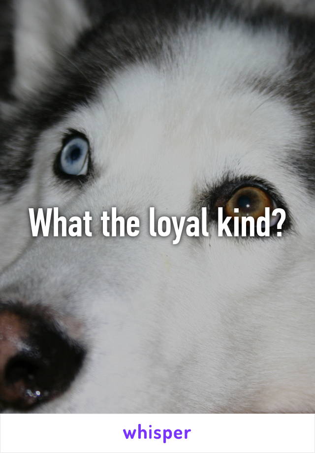 What the loyal kind?