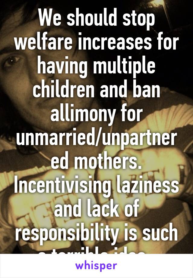 We should stop welfare increases for having multiple children and ban allimony for unmarried/unpartnered mothers. Incentivising laziness and lack of responsibility is such a terrible idea. 