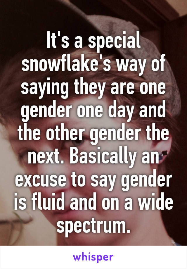 It's a special snowflake's way of saying they are one gender one day and the other gender the next. Basically an excuse to say gender is fluid and on a wide spectrum.