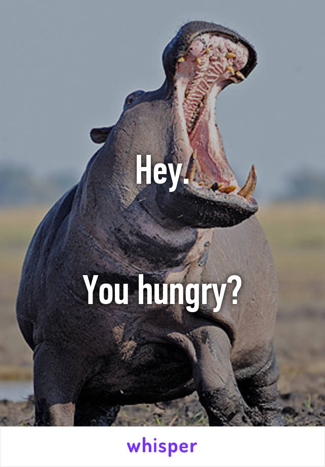 Hey.


You hungry?