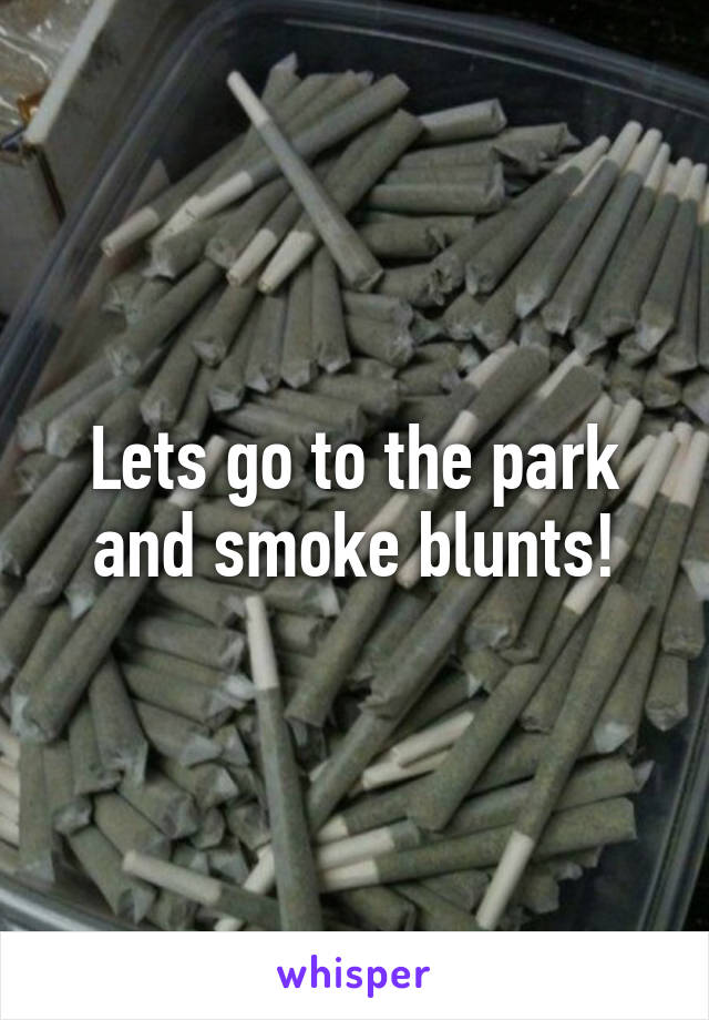 Lets go to the park and smoke blunts!