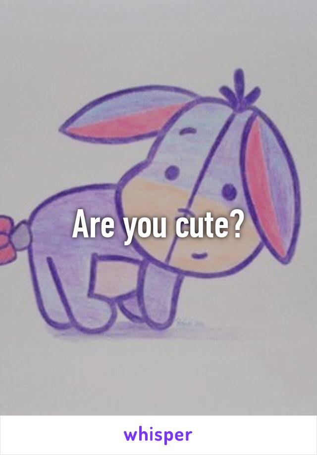 Are you cute?