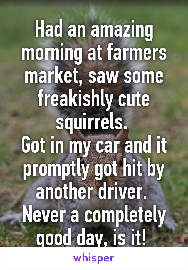 Had an amazing morning at farmers market, saw some freakishly cute squirrels. 
Got in my car and it promptly got hit by another driver. 
Never a completely good day, is it! 