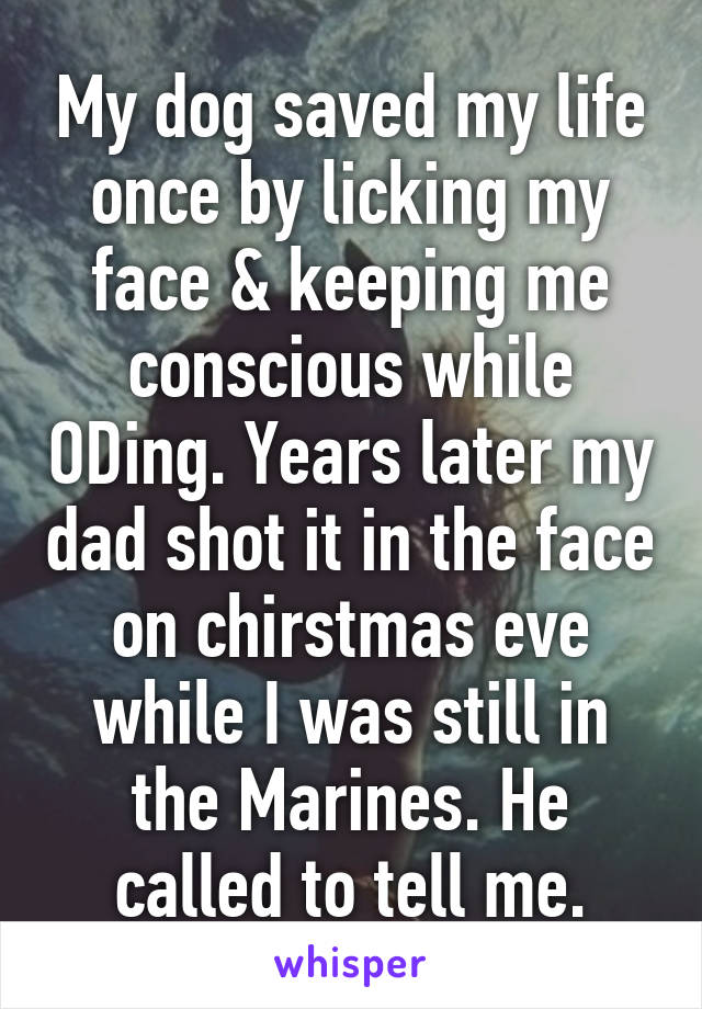 My dog saved my life once by licking my face & keeping me conscious while ODing. Years later my dad shot it in the face on chirstmas eve while I was still in the Marines. He called to tell me.