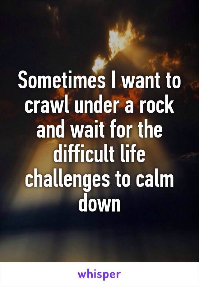 Sometimes I want to crawl under a rock and wait for the difficult life challenges to calm down