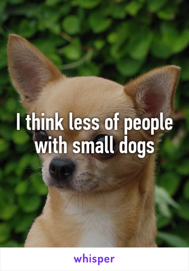 I think less of people with small dogs