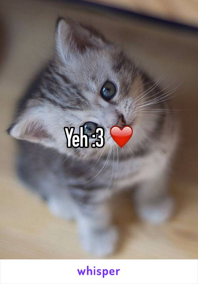 Yeh :3 ❤️