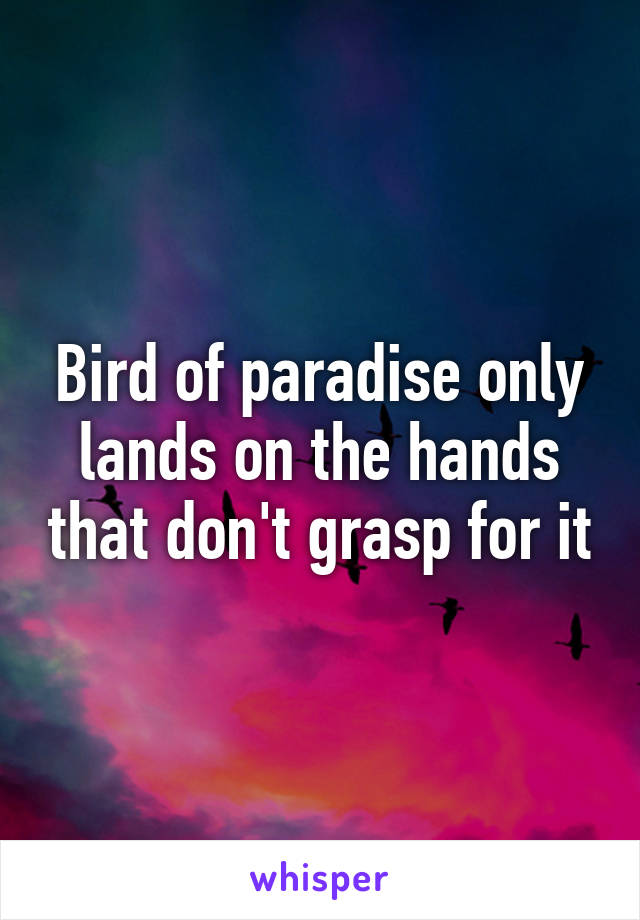 Bird of paradise only lands on the hands that don't grasp for it