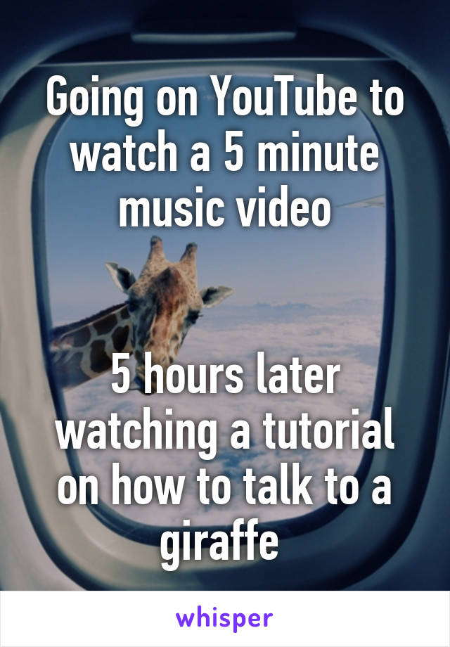 Going on YouTube to watch a 5 minute music video


5 hours later watching a tutorial on how to talk to a giraffe 