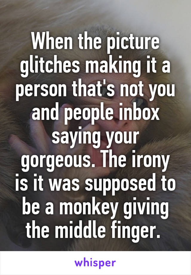 When the picture glitches making it a person that's not you and people inbox saying your gorgeous. The irony is it was supposed to be a monkey giving the middle finger. 