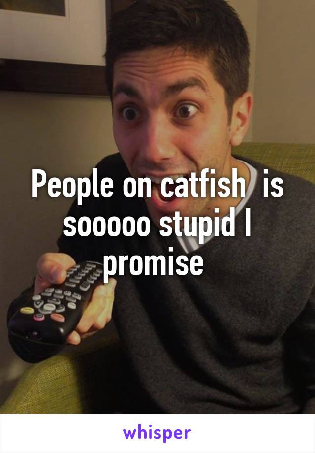 People on catfish  is sooooo stupid I promise 