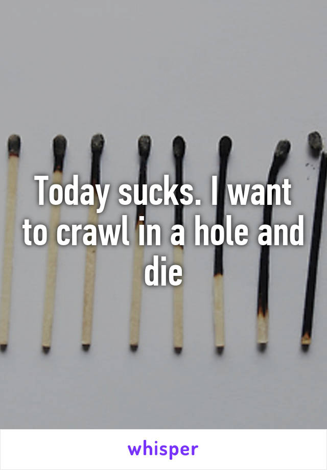 Today sucks. I want to crawl in a hole and die