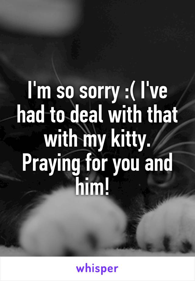 I'm so sorry :( I've had to deal with that with my kitty. Praying for you and him!  