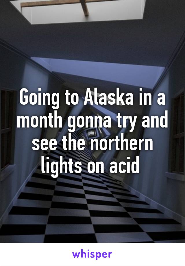 Going to Alaska in a month gonna try and see the northern lights on acid 