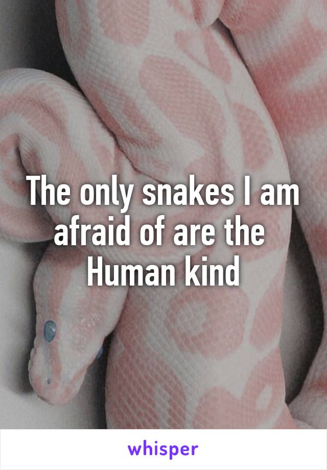 The only snakes I am afraid of are the 
Human kind